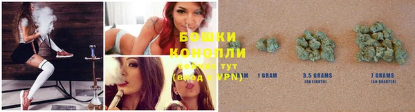 хмурый Горняк