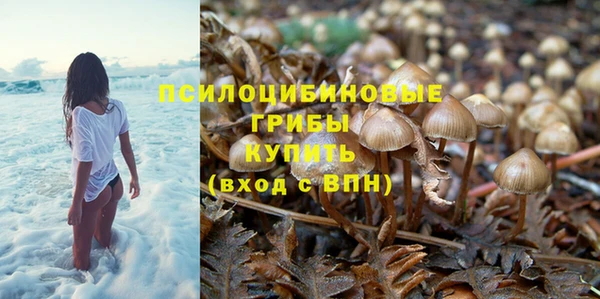 ПСИЛОЦИБИНОВЫЕ ГРИБЫ Туринск