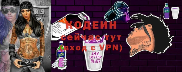 хмурый Горняк