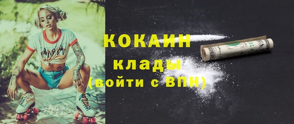 хмурый Горняк