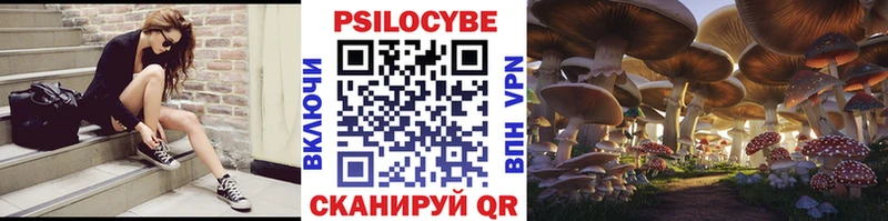 где купить   мега tor  маркетплейс наркотические препараты  Миасс  Галлюциногенные грибы прущие грибы 