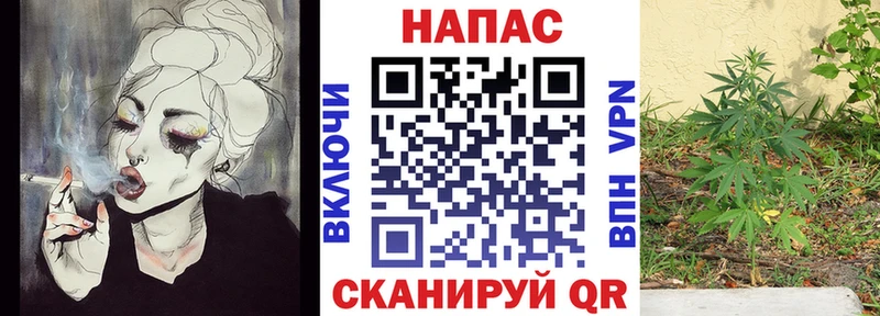 купить закладку  Миасс  Каннабис индика 